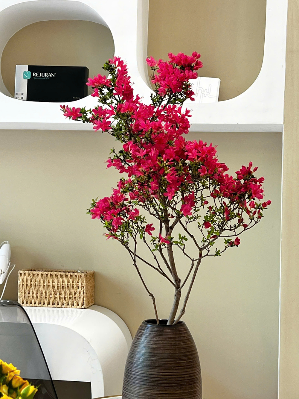 SPA NHA TRANG